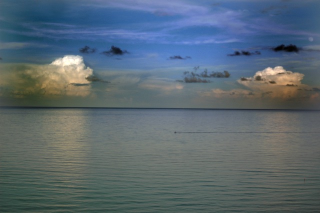 Loading Image