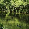 great-falls006