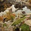 great-falls018