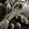 food006